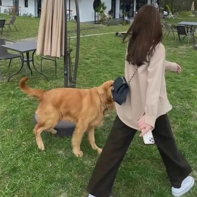 德州女巫